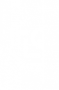 TLCWEB-logo-slide